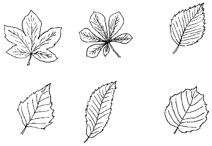 Spring colouring pages